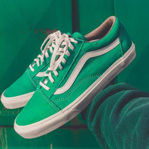 Vans Old Skool shoes